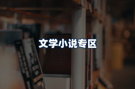 文学小说PDF展示